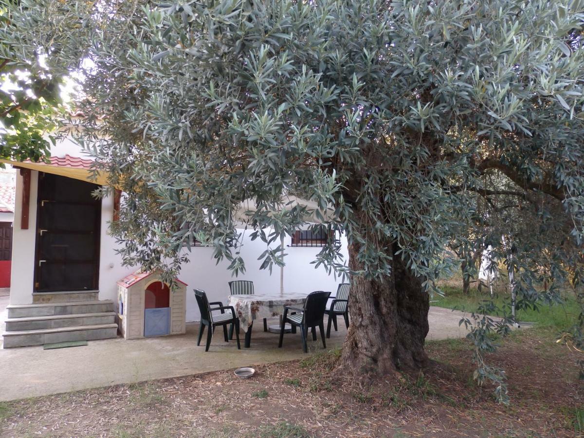 The Small House In The Olive Grove Lefokastro Exterior foto